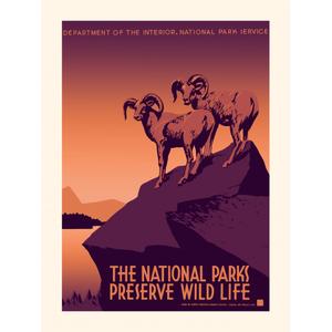 kb1205plakwildlife-poster-plakat-wild-life-brown-beige-30x40-cm