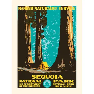 Poster Plakat Sequoia