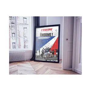 Digigraphie-Poster Hartman L'Equipe - Manaudou