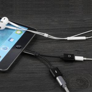 Adaptateur IOS 11 et + Platyne image-2