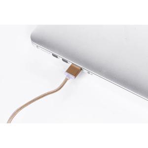 Câble USB vers Lightning Platyne image-2