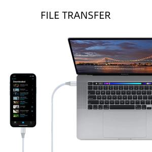 Câble USB C vers Lightning Platyne image-1