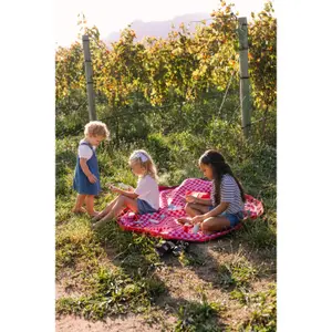 Play Mat and Storage Bag Play&Go Pic Nic image-3