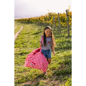 Play Mat and Storage Bag Play&Go Pic Nic image-4