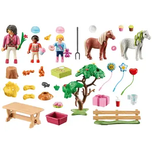 Country Farm Birthday Party Playmobil image-1