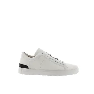 Low top sneakers Blackstone