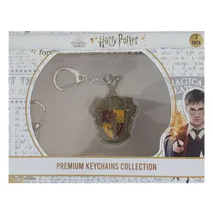 Embalagem de 12 caixas de 3 porta-chaves PMI Harry Potter Premium D image-5