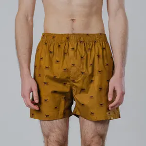 Boxer shorts Pockies AOP Beagle Print image-2