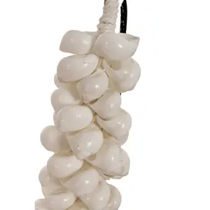 Halsband Pole To Pole J65 Small Shell image-2