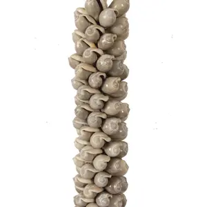 Collier Pole To Pole J78 Shell Necklace image-3