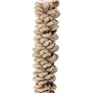 Κολιέ Pole To Pole Shell Necklace On Stand image-1