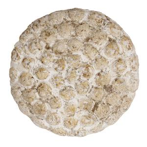 Nástěnná dekorace Pole To Pole Dots