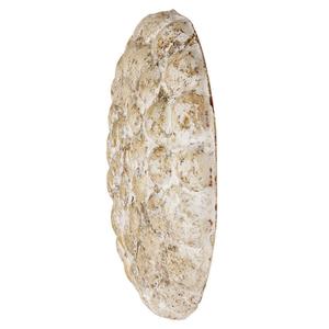 Nástěnná dekorace Pole To Pole Dots image-1