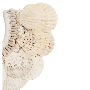 Collar de conchas Pole To Pole image-2