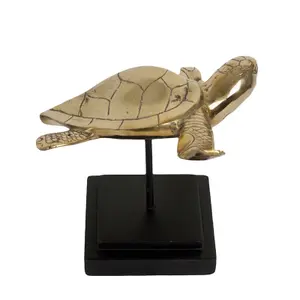 Oggetto decorativo Pole To Pole Tortue image-4