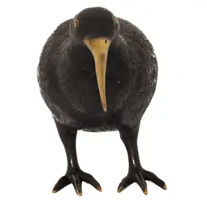 Σταυροί Pole To Pole H28 Kiwi Bird