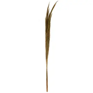 Διακοσμητικό αντικείμενο Pole To Pole Small Hay Bundle