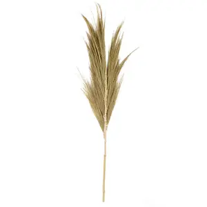 Διακοσμητικό αντικείμενο Pole To Pole Mini Hay Plume