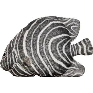 Set of 6 cushions Pole To Pole Angelfish image-0