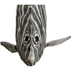 Set of 6 cushions Pole To Pole Angelfish image-1