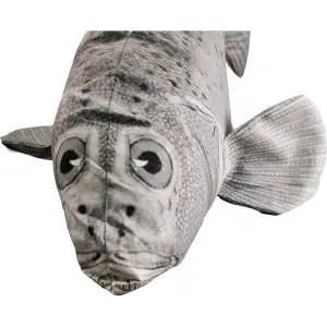 Coussin Pole To Pole Magma Fish image-1