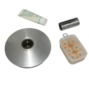 Maxiscooter hi-speed speed controller Polini Steed 250 Q-Wing