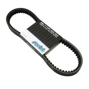 Belt Polini Honda 125 Pcx 2010>2014, Shi 2011> image-1