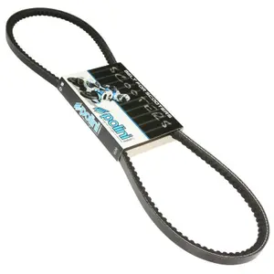 Courroie sans variateur Polini Piaggio 50 Ciao Px image-0