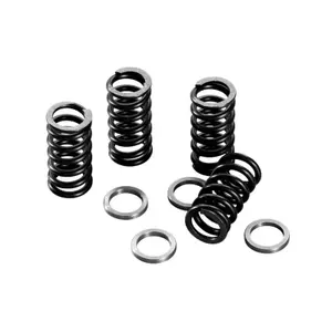 Jeu de 4 ressorts disque embrayage Polini Minarelli 50 Am6 image-0