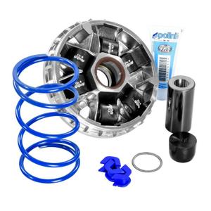 204213-variator-maxiscooter-hi-speed-polini-sym-300-cruisym-joyride-joymax-euro-5-silber-tu