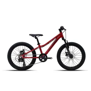 Bicicleta de montaña para niño Polygon Relic 20 Shimano Tourney RD-TY300 7V