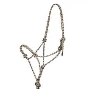 Halster och ledstång för häst Pool's image-1