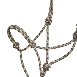 Halster och ledstång för häst Pool's image-2