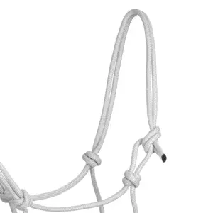 Halster och ledstång för häst Pool's image-1