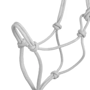 Halster och ledstång för häst Pool's image-2