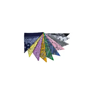 Bandana Pool's Fiori image-0