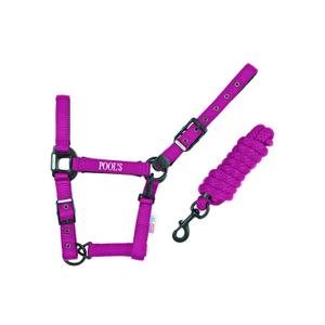 ca00027k-fucsia-nylon-halter-for-horse-with-leather-pool-s-ca00027k-fucsia