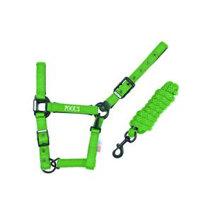 ca00027k-lime-nylon-halter-for-horse-with-leather-pool-s-ca00027k-lime