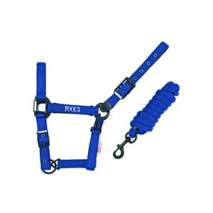 ca00027k-royalblue-nylon-halter-for-horse-with-leather-pool-s-ca00027k-royalblue