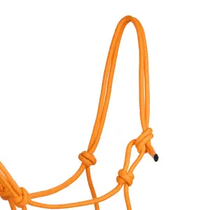 Hästgrimma med snöre och knoppar Pool's image-1