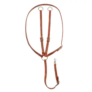 Martingale with ring and oiled leather collar Pool's image-0