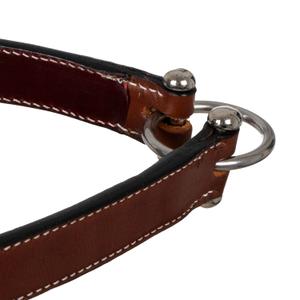 Western-Zaumzeug aus Leder für Pferde Pool's image-3