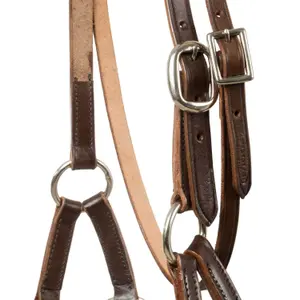 Riding bridle Pool's image-2