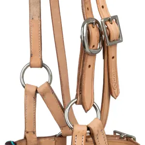 Riding bridle Pool's image-2