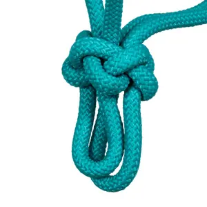 Licol pour cheval Pool's Navayo image-3