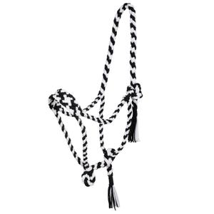plh03002-black-white-cabezada-para-caballo-de-nylon-trenzado-pool-s-blanco-y-negro-tu