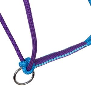 Rope halter for horse Pool's image-3