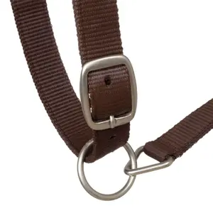 Leather horse halter with rope decoration Pool's image-3