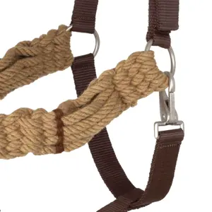 Leather horse halter with rope decoration Pool's image-4