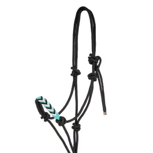 Kantar dla koni Pool's image-1